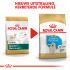 Royal Canin Golden Retriever Junior - Hondenvoer - 3 kg