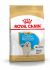 Royal Canin Golden Retriever Junior - Hondenvoer - 3 kg