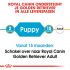Royal Canin Golden Retriever Junior - Hondenvoer - 3 kg
