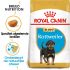 Royal Canin Rottweiler Puppy - Hondenvoer - 3 kg