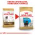Royal Canin Rottweiler Puppy - Hondenvoer - 3 kg