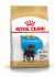 Royal Canin Rottweiler Puppy - Hondenvoer - 3 kg