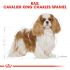 Royal Canin Cavalier King Charles  Adult - Hondenvoer - 7,5 kg