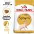 Royal Canin Sphynx Adult  - Kattenvoer - 2 kg