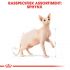 Royal Canin Sphynx Adult  - Kattenvoer - 2 kg