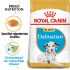 Royal Canin Dalmatian  Junior - Hondenvoer - 12 kg