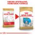 Royal Canin Dalmatian  Junior - Hondenvoer - 12 kg
