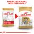 Royal Canin Dalmatian  Adult - Hondenvoer - 12 kg