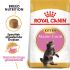 Royal Canin Maine Coon Kitten - Kattenvoer - 2 kg