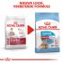 Royal Canin Medium Starter Mother and Babydog - Hondenvoer - 4 kg