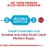 Royal Canin Medium Starter Mother and Babydog - Hondenvoer - 4 kg