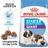 Royal Canin Giant Starter Mother and Babydog - Hondenvoer - 15 kg