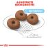 Royal Canin Giant Starter Mother and Babydog - Hondenvoer - 15 kg