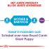 Royal Canin Giant Starter Mother and Babydog - Hondenvoer - 15 kg