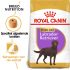 Royal Canin Labrador Retriever Sterilised - Hondenvoer - 3 kg
