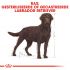 Royal Canin Labrador Retriever Sterilised - Hondenvoer - 3 kg
