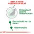 Royal Canin Mini Ageing 12+ - Hondenvoer - 800 gram