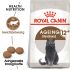 Royal Canin Ageing Sterilised 12+ - Kattenvoer - 2 kg