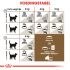 Royal Canin Ageing Sterilised 12+ - Kattenvoer - 2 kg