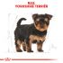 Royal Canin Yorkshire  Terrier Puppy - Hondenvoer - 7,5 kg