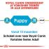 Royal Canin Yorkshire  Terrier Puppy - Hondenvoer - 7,5 kg
