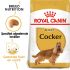 Royal Canin Cocker Spaniel Adult - Hondenvoer - 12 kg