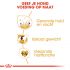 Royal Canin Cocker Spaniel Adult - Hondenvoer - 12 kg