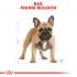 Royal Canin Franse Bulldog Adult - Hondenvoer - 1,5 kg