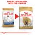 Royal Canin Franse Bulldog Adult - Hondenvoer - 1,5 kg