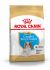 Royal Canin Cavalier King Charles Puppy - Hondenvoer - 1,5 kg