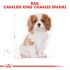 Royal Canin Cavalier King Charles Puppy - Hondenvoer - 1,5 kg