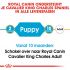 Royal Canin Cavalier King Charles Puppy - Hondenvoer - 1,5 kg