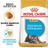 Royal Canin Mini Schnauzer Junior - Hondenvoer - 1,5 kg