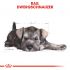 Royal Canin Mini Schnauzer Junior - Hondenvoer - 1,5 kg