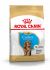 Royal Canin Cocker Puppy - Hondenvoer - 3 kg