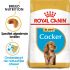 Royal Canin Cocker Puppy - Hondenvoer - 3 kg