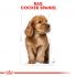 Royal Canin Cocker Puppy - Hondenvoer - 3 kg