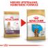Royal Canin Cocker Puppy - Hondenvoer - 3 kg