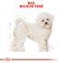 Royal Canin Bichon Frisé Adult - Hondenvoer - 1,5 kg