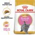 Royal Canin Britse Korthaar Kitten - Kattenvoer - 2 kg