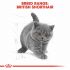Royal Canin Britse Korthaar Kitten - Kattenvoer - 2 kg