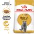 Royal Canin Britse Korthaar Kitten - Kattenvoer - 10 kg
