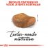 Royal Canin Britse Korthaar Kitten - Kattenvoer - 10 kg
