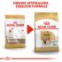 Royal Canin Beagle Adult - Hondenvoer - 12 kg