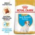 Royal Canin Jack Russell Terrier Junior - Hondenvoer - 3 kg