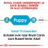 Royal Canin Jack Russell Terrier Junior - Hondenvoer - 3 kg
