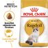Royal Canin Ragdoll Adult - Kattenvoer - 2 kg