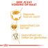 Royal Canin Ragdoll Adult - Kattenvoer - 2 kg