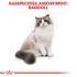 Royal Canin Ragdoll Adult - Kattenvoer - 2 kg