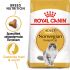 Royal Canin Noorse Boskat Adult - Kattenvoer - 2 kg
